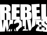 『ウィッチャー3』のディレクターを務めた開発者による新スタジオ「Rebel Wolves」発表―AAAダークファンタジーRPG開発中 画像