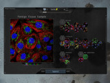 ゲームで医学に貢献　『EVE Online』でヒトタンパク質を分析するミニゲーム実装 画像