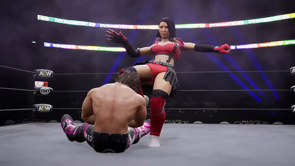 Aew 新作プロレスゲームはユークスが開発 バーチャル プロレスリング シリーズ手がけた岩下英幸氏も参加 Gamebusiness Jp