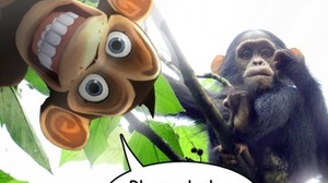 ジンガの『Bubble Safari』、野生生物保全協会とタイアップ 画像