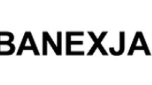 クルーズ、BANEX JAPANを完全子会社化 画像