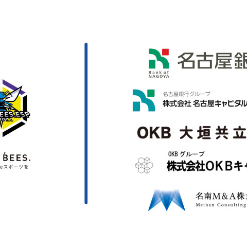 プロeスポーツチーム運営のBLUE BEESが資金調達を実施―「eスポーツ×社会課題解決」事業展開およびWEB3.0コンテンツ・サービス開発投資を目的に 画像