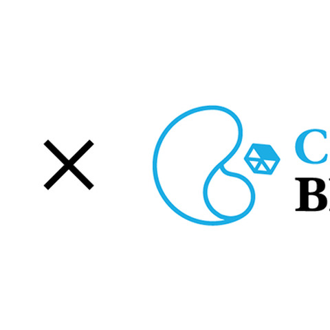 gumi、GameFi分野を担うCROOZ Blockchain Labと新規ブロックチェーンゲームを共同開発 画像