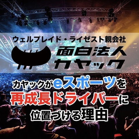 ウェルプレイド・ライゼストの親会社・カヤックがeスポーツを再成長ドライバーに位置づける理由 画像