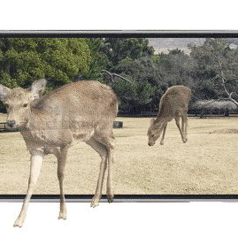 シャープ、裸眼立体視が可能な2D/3D切り替え型液晶ディスプレイを新開発・・・3DS向け? 画像