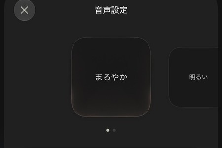 Claudeの音声モードが進化、Opus / Sonnet と会話可能に―「Slackの議論を三行にまとめて読んで」も 画像