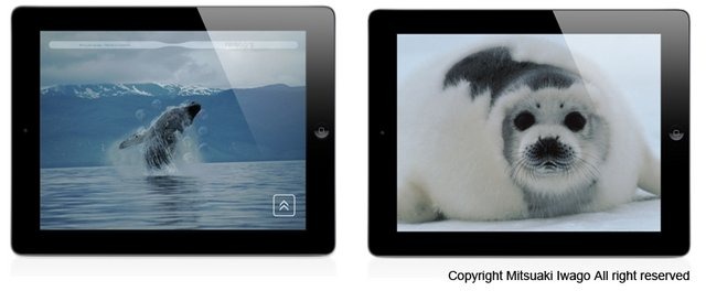 CRI・ミドルウェアは、iOS/Android向け写真集アプリのインターフェイスエンジン「CRI Media Indexer」を開発したことを発表しました。