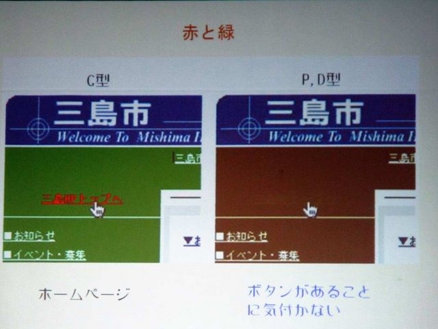 ソラノイロ代表でカラーユニバーサルデザイン機構（CUDO）副理事長の伊賀公一氏はMSM2009で23日、「ソフトウェア開発におけるカラーユニバーサルデザインの重要性」と題して講演しました。