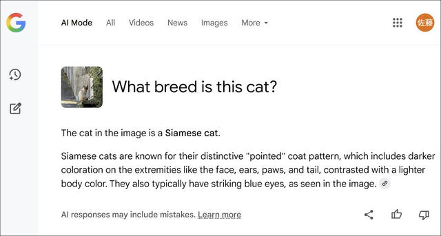 新しいGoogle検索「AIモード」が始まったけど、Geminiとどう使い分けたらいいの？（Google Tales）
