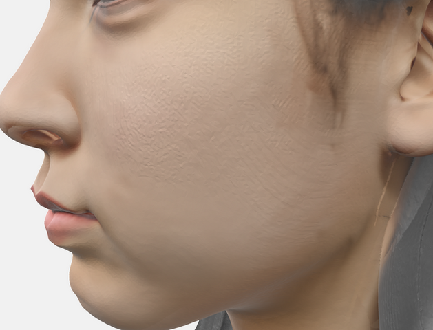 高精度の2D→3DモデリングAIサービスのHitem3Dが4面図入力に対応したので人物で試したらリアルすぎた（CloseBox）