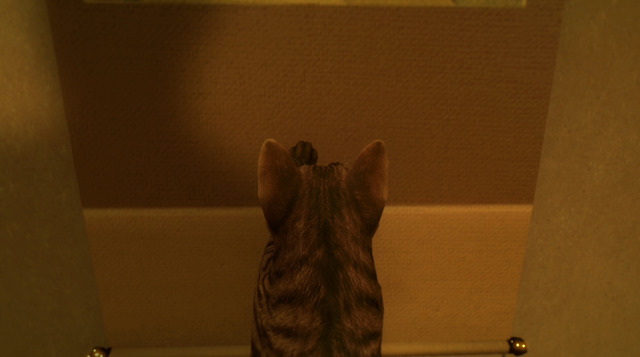 「『まだ猫は逃げますか？』は開発中止していない」開発元が異例のアナウンス―突如登場した架空作品と混同する声が広まったためか