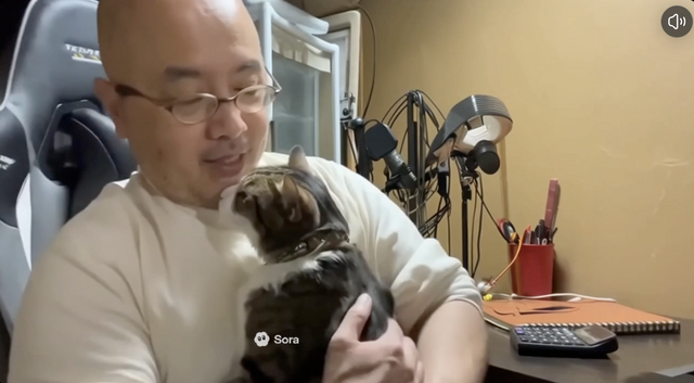 Soraアプリ、日本の全ユーザー（iPhone）に開放。ペットやキャラもカメオ登録できるようになったので、愛猫と猫耳少女に共演してもらった（CloseBox）