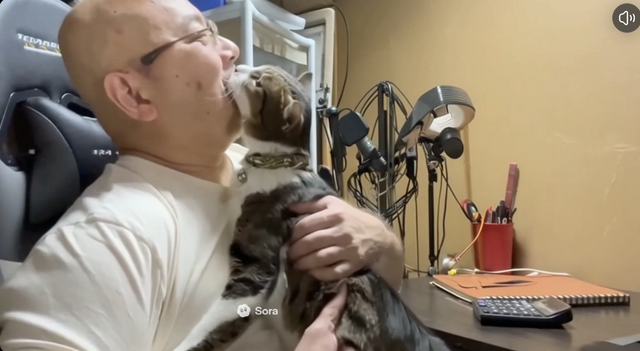 Soraアプリ、日本の全ユーザー（iPhone）に開放。ペットやキャラもカメオ登録できるようになったので、愛猫と猫耳少女に共演してもらった（CloseBox）