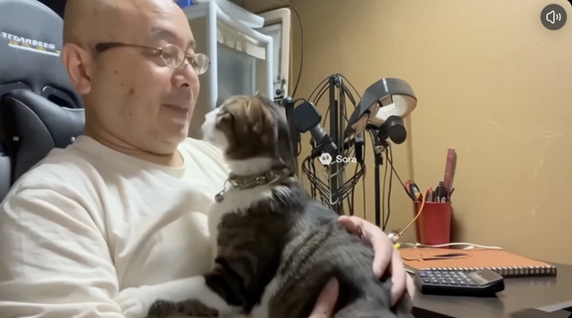 Soraアプリ、日本の全ユーザー（iPhone）に開放。ペットやキャラもカメオ登録できるようになったので、愛猫と猫耳少女に共演してもらった（CloseBox）