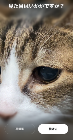 Soraアプリ、日本の全ユーザー（iPhone）に開放。ペットやキャラもカメオ登録できるようになったので、愛猫と猫耳少女に共演してもらった（CloseBox）