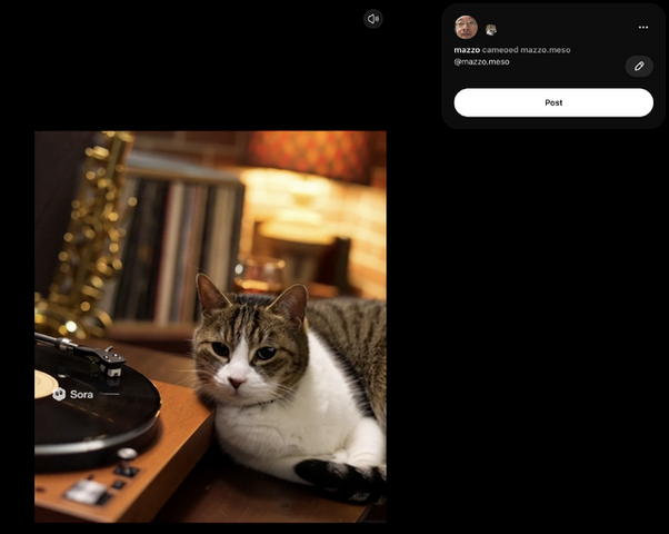 Soraアプリ、日本の全ユーザー（iPhone）に開放。ペットやキャラもカメオ登録できるようになったので、愛猫と猫耳少女に共演してもらった（CloseBox）
