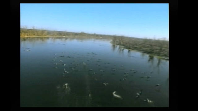 飯野賢治は「ゲーム」制作に飽きていた？元WARPメンバーが語る『Dの食卓2』制作秘話【飯野賢治生誕55周年】