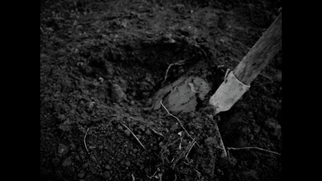 Steamにて配信中止で話題になったホラーゲーム『HORSES』新たにEGSでも“不適切なコンテンツ”としてリリースできず。GOG/Itch.ioでは配信中