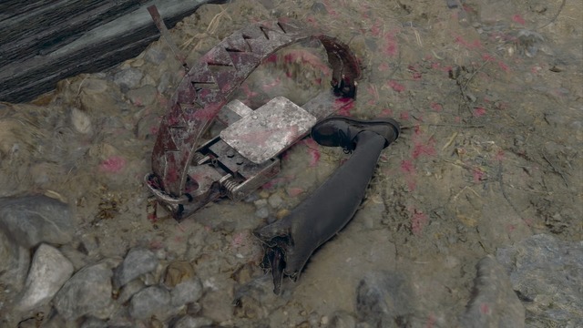 “表現規制”はユーザーに何を強いるのか？『バイオハザード RE:4』で見る日本と海外のゴア表現【特集】