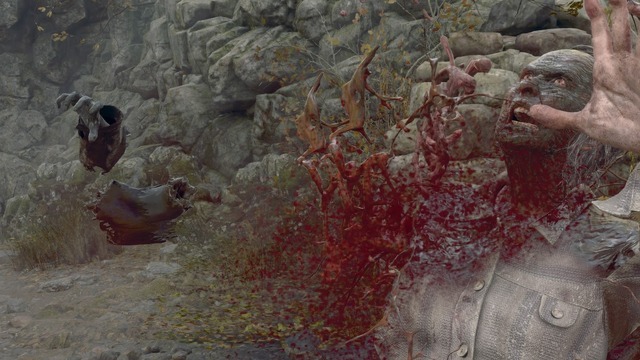 “表現規制”はユーザーに何を強いるのか？『バイオハザード RE:4』で見る日本と海外のゴア表現【特集】