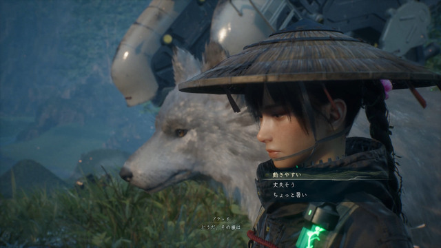 ゲームフリーク新作『Beast of Reincarnation』ディレクターが狙う「ぬくもりの中にある寂しさ」とは？「一人と一匹」へのこだわり【インタビュー】
