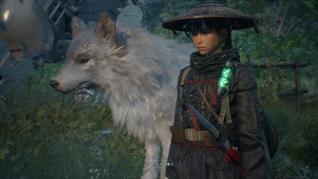ゲームフリーク新作『Beast of Reincarnation』ディレクターが狙う「ぬくもりの中にある寂しさ」とは？「一人と一匹」へのこだわり【インタビュー】