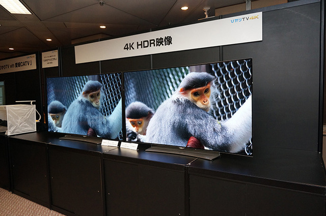 テレビ向けの4K HDRコンテンツも用意