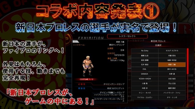 『ファイヤープロレスリング ワールド』開発者インタビュー―「Mod開発者とも直接やり取りしている」