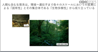 ビデオゲームの世界でも生物多様性の実現を！オンライン公開中の「3Dデジタル生物標本」の多様な展開について紹介【CEDEC 2023】