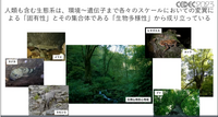 ビデオゲームの世界でも生物多様性の実現を！オンライン公開中の「3Dデジタル生物標本」の多様な展開について紹介【CEDEC 2023】