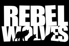 『ウィッチャー3』のディレクターを務めた開発者による新スタジオ「Rebel Wolves」発表―AAAダークファンタジーRPG開発中 画像