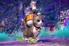 韓国産MMORPG『TERA』国内PC版サービスが終了―約10年の歴史に幕を下ろす 画像