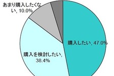 タブレット端末ユーザ、過半数がゲームを利用・・・改善要望は「軽量化」や「バッテリー」 画像