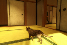 「『まだ猫は逃げますか？』は開発中止していない」開発元が異例のアナウンス―突如登場した架空作品と混同する声が広まったためか