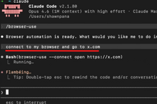 AIエージェントがコマンドラインでブラウザを自動操作。「Browser Use CLI 2.0」リリース。Chrome DevTools接続などで操作が倍速に 画像