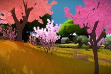 『The Witness』の海賊版被害に開発者が苦言―「ゲーム作る助けにならない」 画像