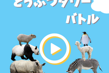 個人開発ゲーム『どうぶつタワーバトル』がSNSで話題沸騰、一時は『ポケ森』を超す勢いに 画像