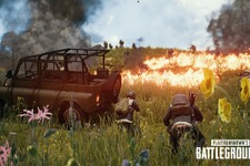 PC版『PUBG』50vs50のイベントモード「Platoon」が開催中止に―「不具合」のため 画像