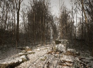 PS5サバイバルホラー『Abandoned』開発中止の噂を否定―正常起動しないアプリ関連のツイート削除後Blue Box Game Studiosが謝罪ツイート 画像