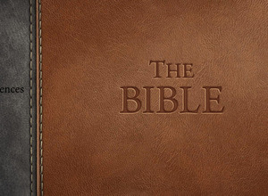 Steamに世界最大のベストセラー『聖書』が登場―デジタルで再現したキネティックノベル風作品 画像