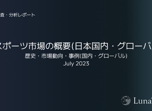 eスポーツ・ゲーム市場 調査分析スライド集「LunaTone Insight」発売ー営業資料などへ2次利用も可能 画像