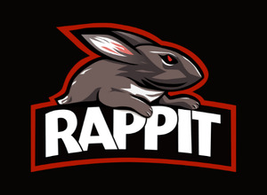 CEOは15歳・中学3年生―現役中学生率いるプロゲーミング/eスポーツチーム「RAPPIT」運営の合同会社Rappit Entertainment設立 画像