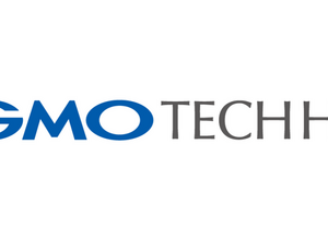 GMO TECHとデザインワン・ジャパンが共同持株会社設立、10月1日上場予定 画像