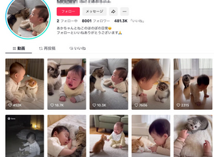 Sora 2で生成の動画、別SNSに“AI素性隠して”大量投稿し再生数荒稼ぎ―ウォーターマークを消すツールとアルトマン氏の著作権への対応（生成AIクローズアップ） 画像