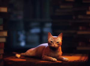 契約違反・詐欺・盗用などで6億円の損害賠償…『Stray』販促など手掛けるiam8bitがパブリッシャーを提訴 画像