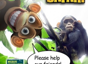 ジンガの『Bubble Safari』、野生生物保全協会とタイアップ 画像