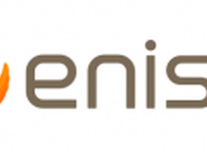 Synphonie、「株式会社enish（エニッシュ）」に社名変更 画像