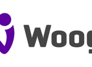 ドイツのソーシャルゲーム企業Woogaが日本に進出　日本事業責任者として元LINE Game事業担当の大塚純氏が就任 画像