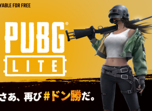 基本プレイ無料の『PUBG LITE』がサービス開始―低スペックPCでも飛び込める新たな戦場!【UPDATE】 画像