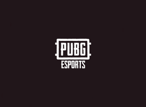 『PUBG』ベルリン大会の延期を発表―新型コロナウイルスの影響を受け 画像